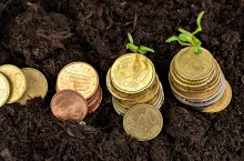 Euro coins and plant sprouts close up, financial growth concept