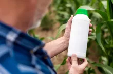 Man holding the bottle in his hand‘s looking in it. Blank unlabelled bottle as mockup copy space for herbicide, fungicide or insecticide