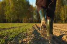 Close-up of a farmer‘s feet in rubber boots walking down a farmer field dust rising from shoes. Low angle. One part is sown, the second part is not sown.