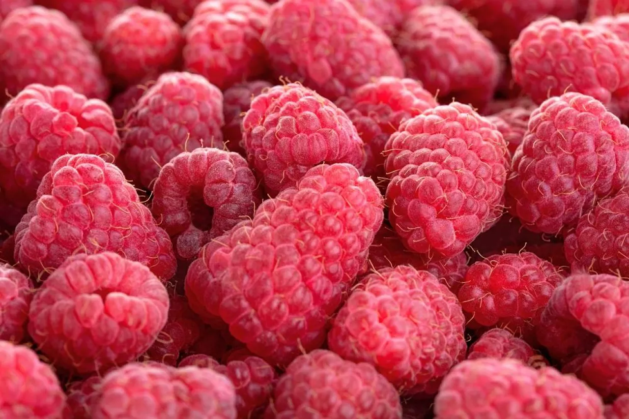 Top view of heap of raspberry as textured background