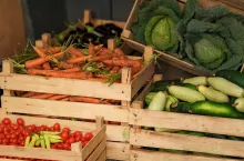 Crates full of fresh organic vegetables ready to be delivered to customers.