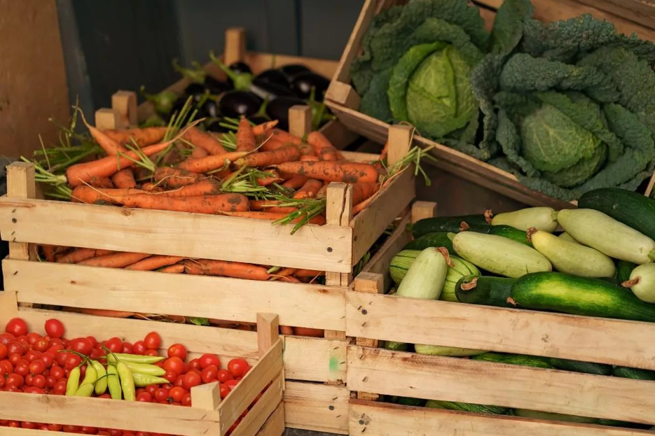 Crates full of fresh organic vegetables ready to be delivered to customers.