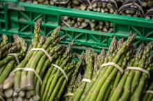 Bunches of asparagus for sale on a farmers market in Cornwall
