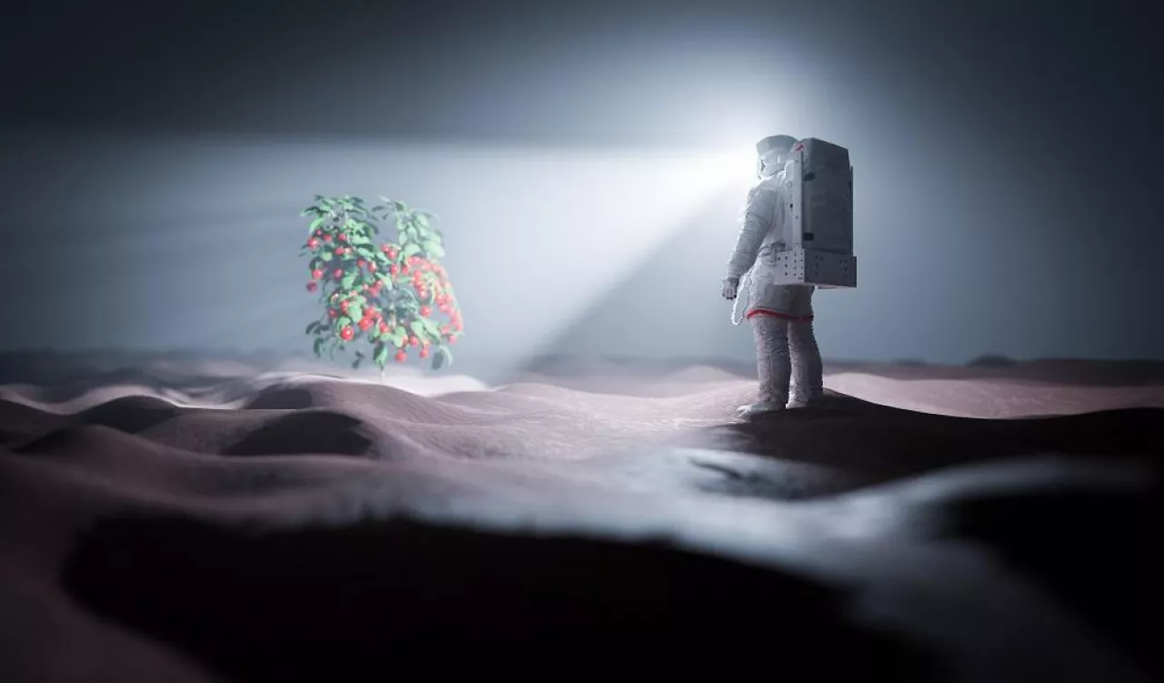 Astronaut discovers green plant on Mars, a red planet. Spacewalk. 3D render