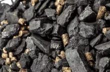 Coal and biomass pellet