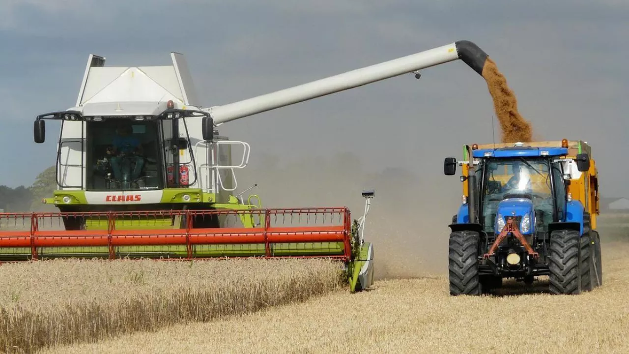 &lt;p&gt;Zbiory zbóż jarych o 11 proc. niższe! Jakie plony zbóż i rzepaku w żniwa 2023?&lt;/p&gt;