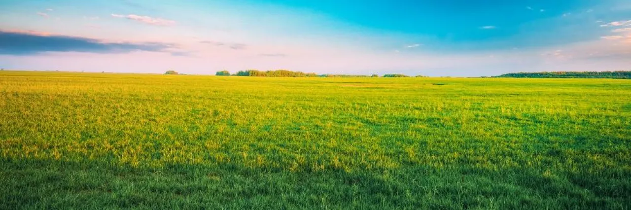 panorama Countryside Rural Field Landscape Under Scenic Spring Blue Clear Sunny Sky. Skyline. Agricultural Landscape