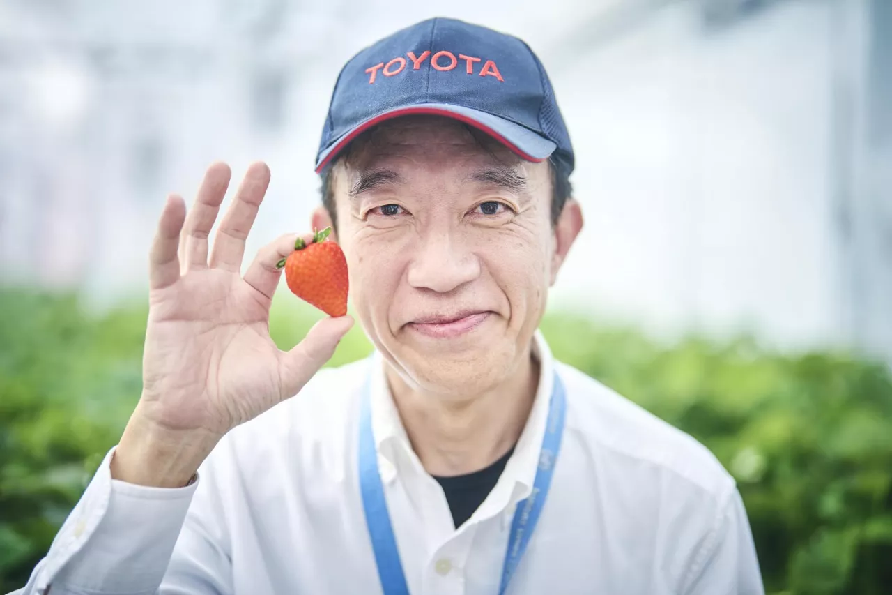 &lt;p&gt;Toyota podbije branżę rolniczą? Motoryzacyjny gigant uprawia truskawki i pomidory&lt;/p&gt;