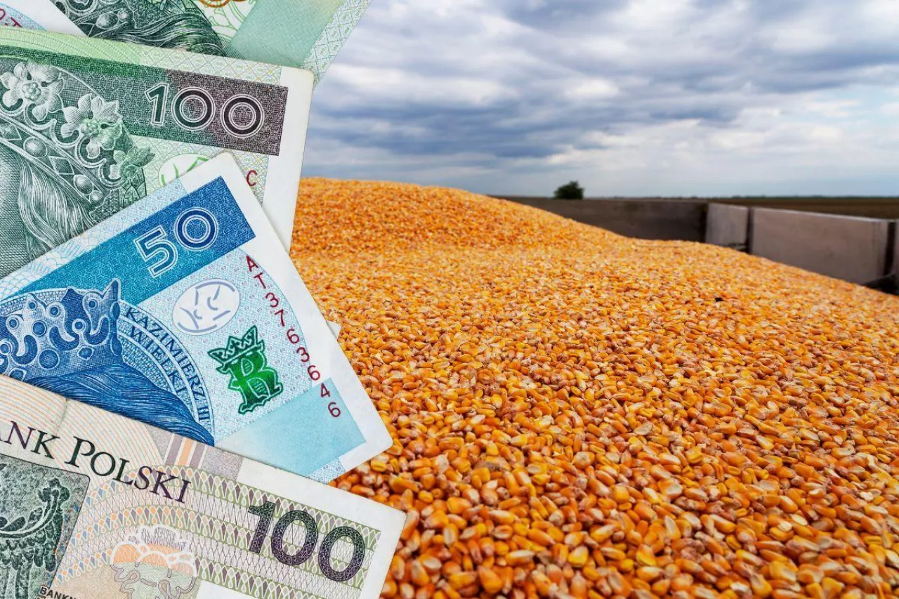 &lt;p&gt;25 września ARiMR rozpoczęła długo oczekiwaną przez rolników wypłatę dopłat do zbóż i rzepaku&lt;/p&gt;