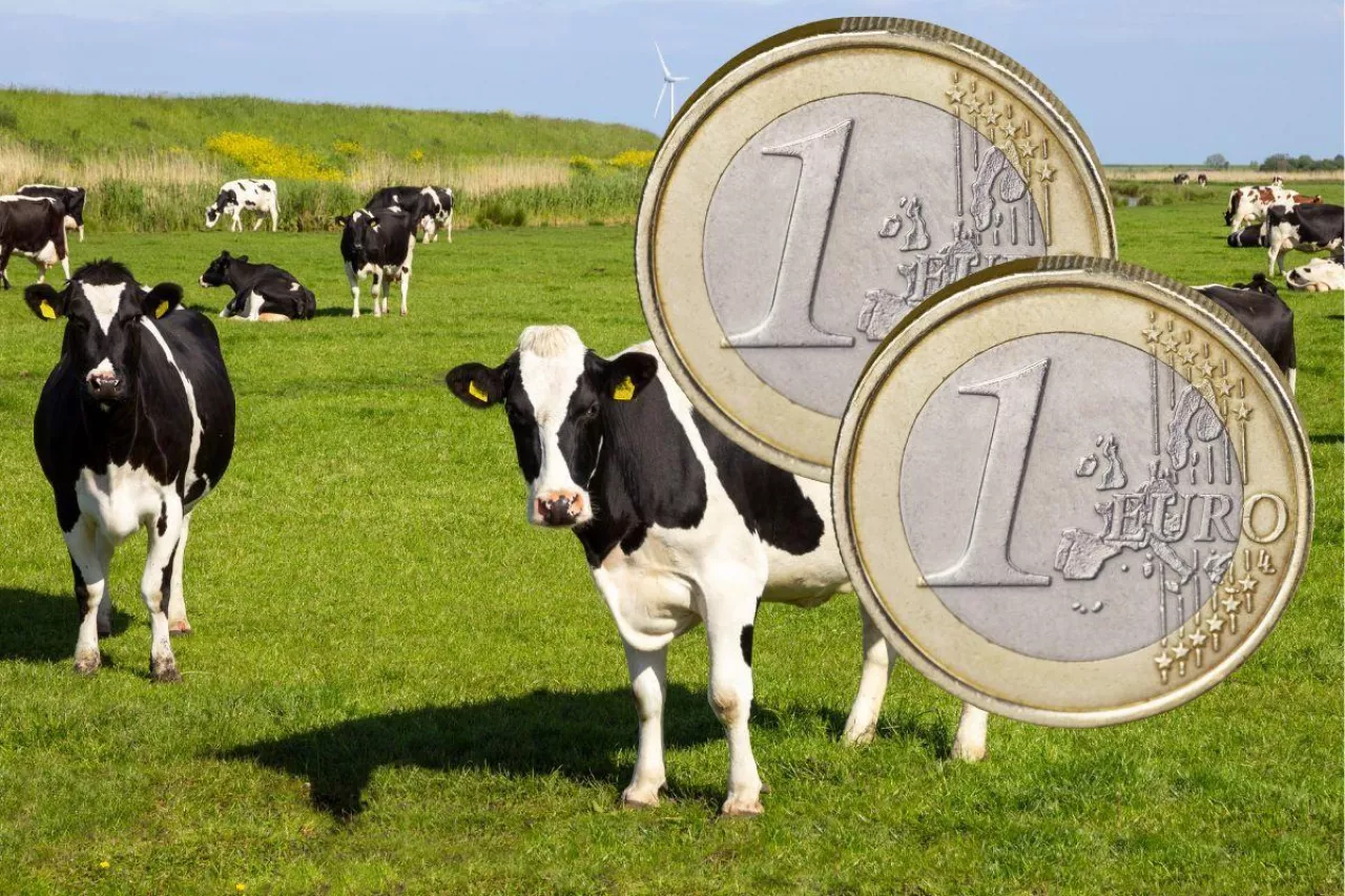 &lt;p&gt;Niemcy chcą znieść dopłaty bezpośrednie dla rolników w całej UE&lt;/p&gt;