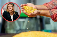 &lt;p&gt;Dopłaty do kukurydzy: jakie stawki dla poszczególnych województw?&lt;/p&gt;
