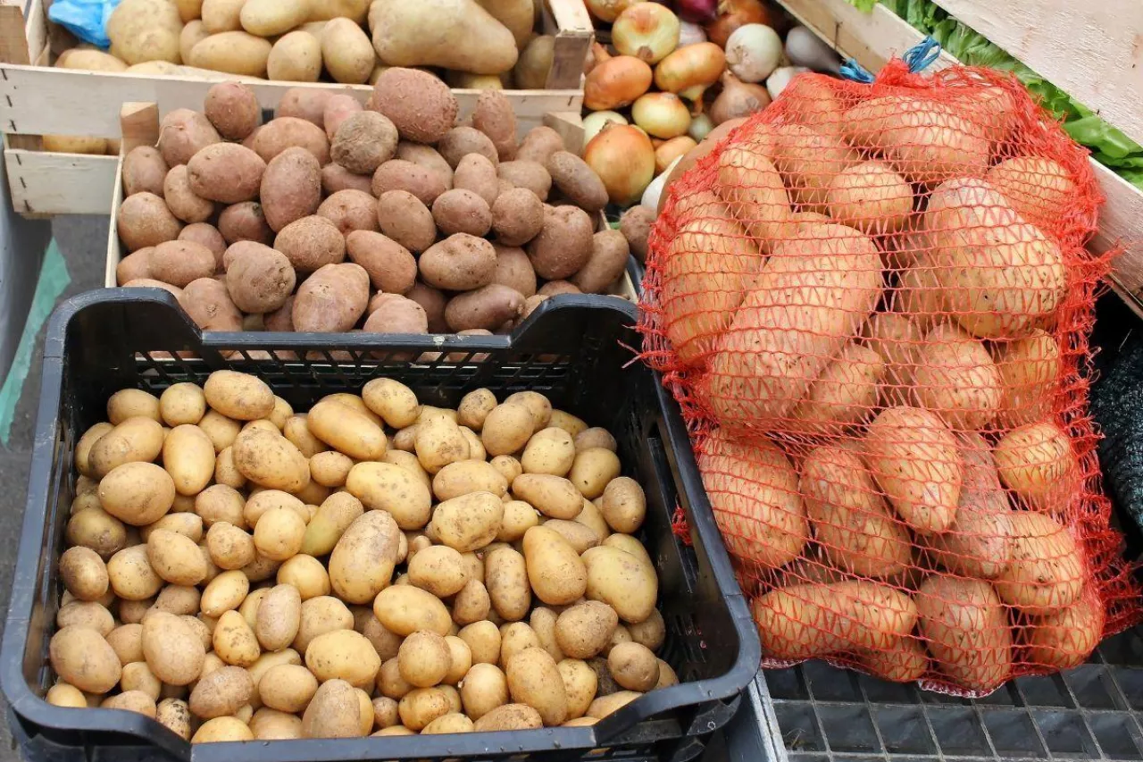&lt;p&gt;Ceny ziemniaków grudzień 2023&lt;/p&gt;