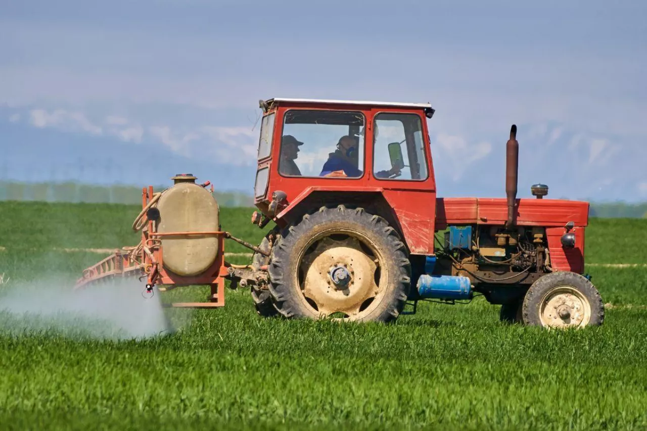 Polski rolnik stosuje 4 razy mniej oprysków niż holenderski. Jakie jest zużycie pestycydów w UE i Polsce?
