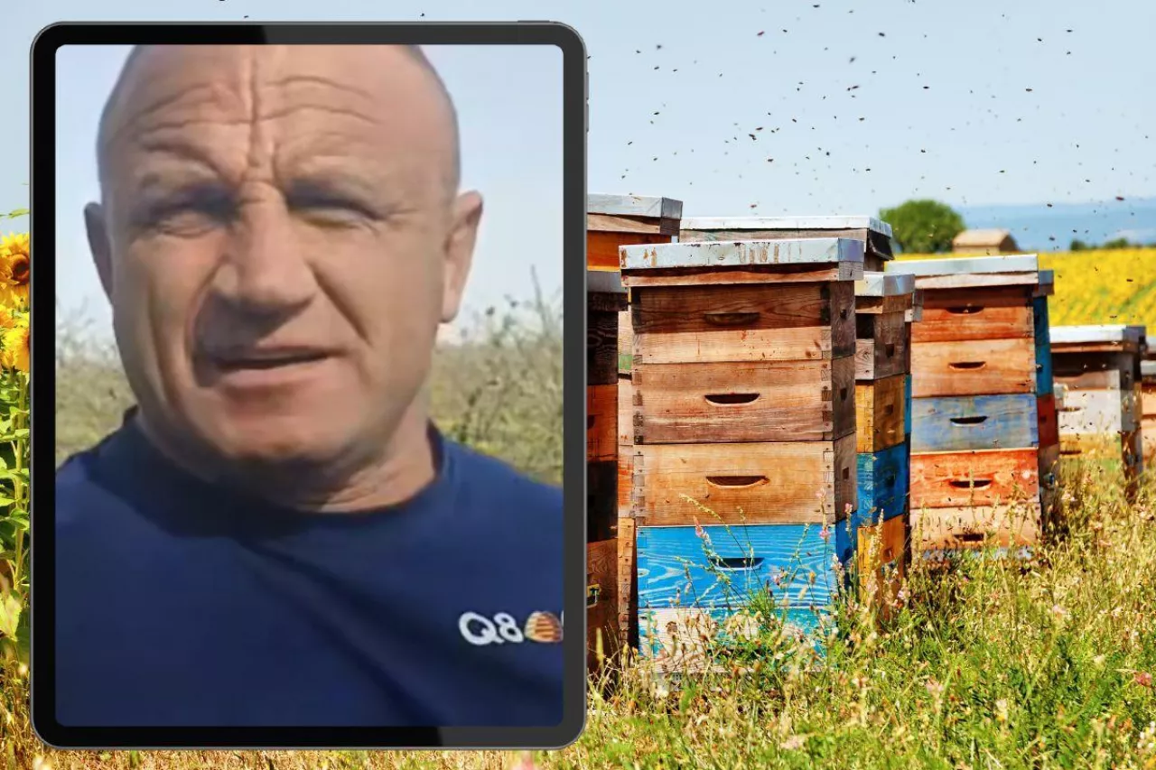 Pudzian rozpoczyna sezon w swoim gospodarstwie. Ściągnął tysiące pszczół [WIDEO]