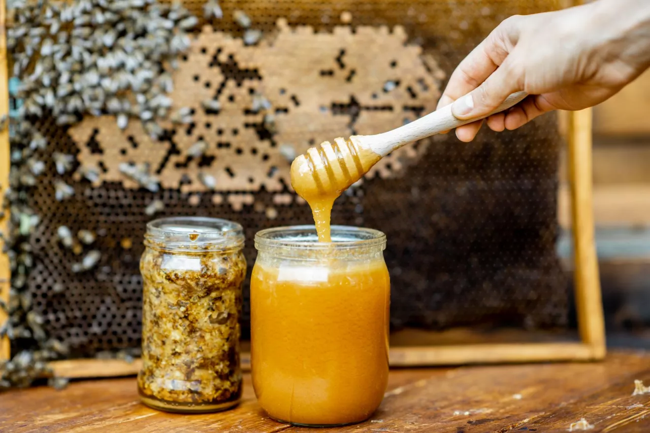 Jar with fresh honey on the beehive with honeycomb on the background
