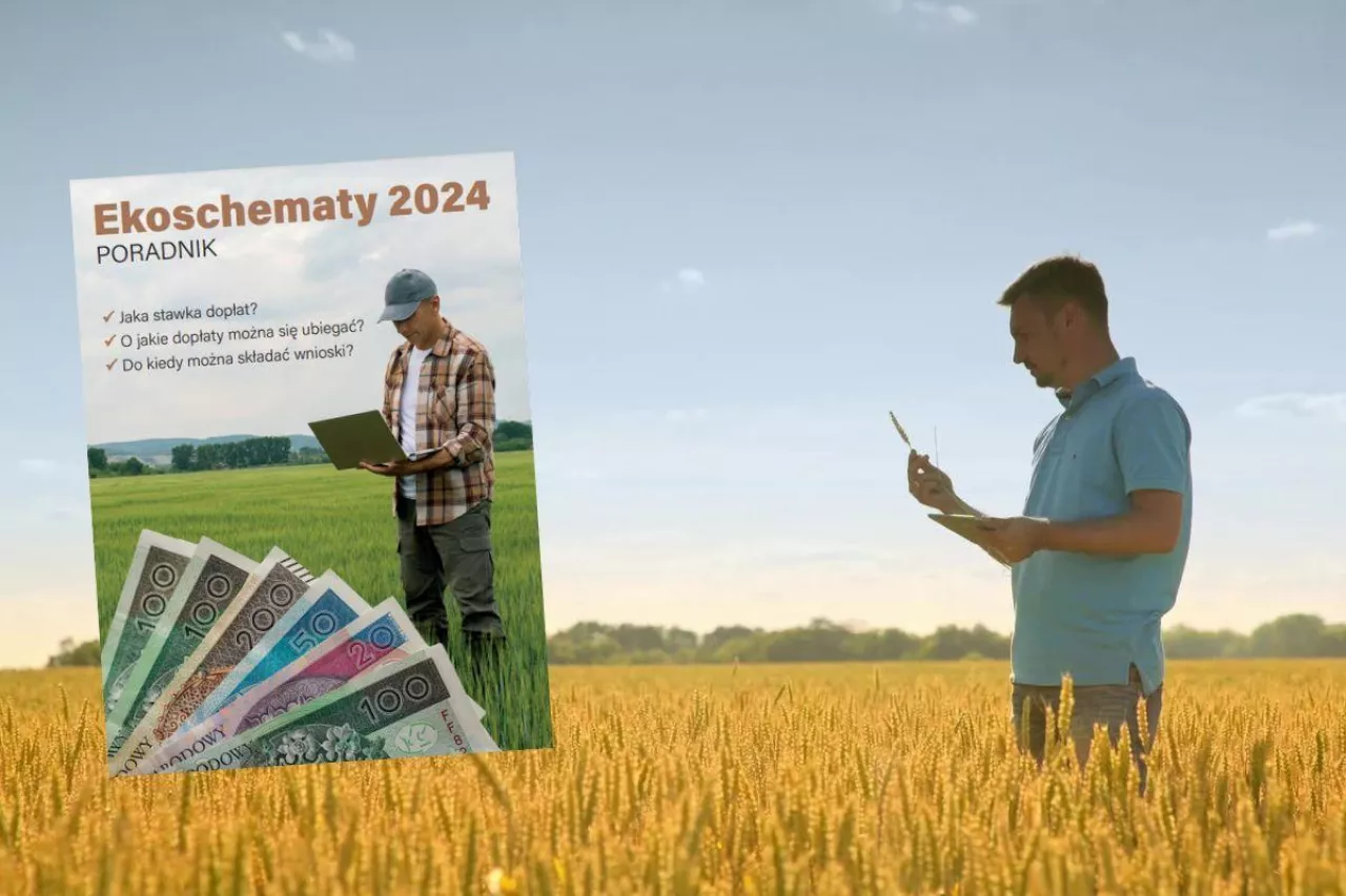 Ekoschematy 2024: jakie stawki, co łączyć? PORADNIK