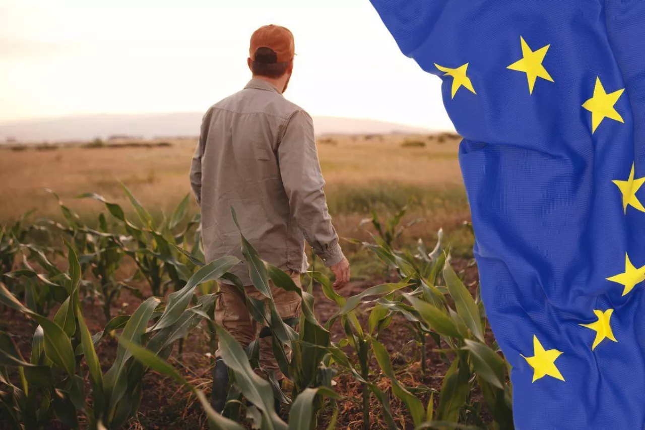 Jakie były ceny zbóż, mleka i ciągników przed wejściem Polski do UE?