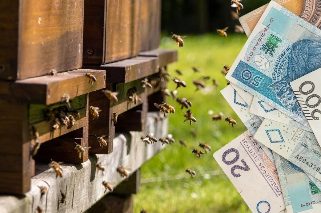 Dopłaty do pszczół 2024: coraz mniej czasu na złożenie wniosku