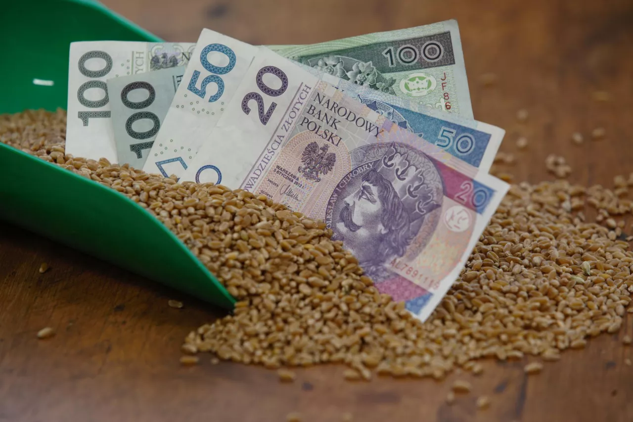 Dopłaty do zbóż: czy ARiMR uruchomi dodatkowy nabór wniosków?