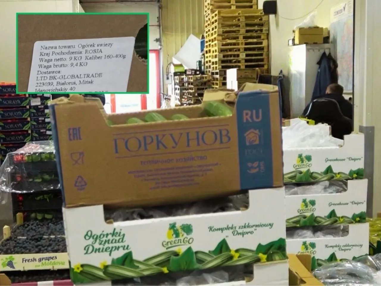 Polska kupiła aż 8 tys. ton ogórków z Rosji! Co jeszcze importujemy?