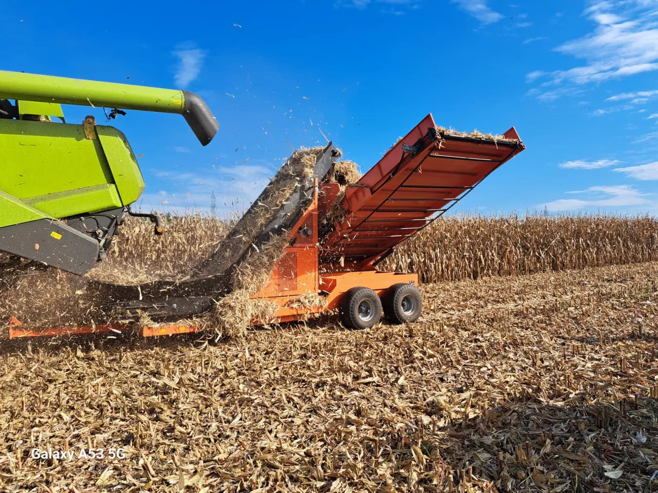 Osadki z kukurydzy to energetyczny materiał. Na pokazie maszyny Power Maize maszyna oprócz osadek zbierała także liście okrywowe kolb. Materiał trafiał do kompostowni, a następnie na cele doświadczalne przy produkcji podłoża do uprawy pieczarek.