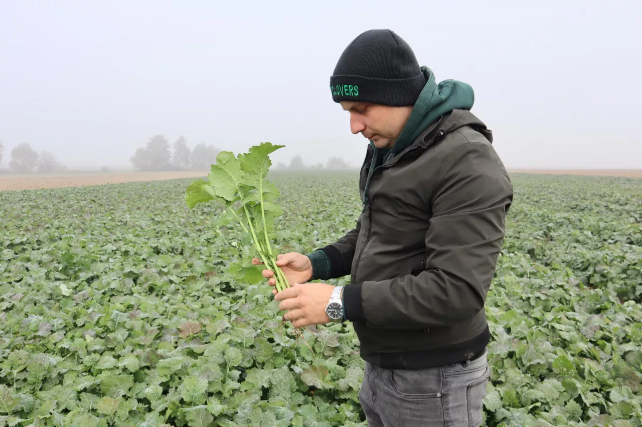 Michał Kaziuk na plantacji rzepaku