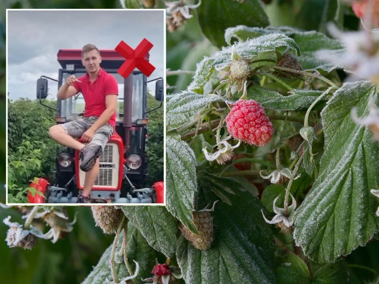 Rolnicy dostaną dużo niższe dopłaty ”cytat typu ta pomoc to farsa lub rząd się ośmieszył lub jeśli poda liczbę np. 40 proc. to Stawki ścięte o 40 proc.”