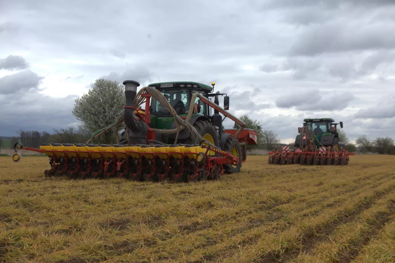 strip till 2 etapowy burak