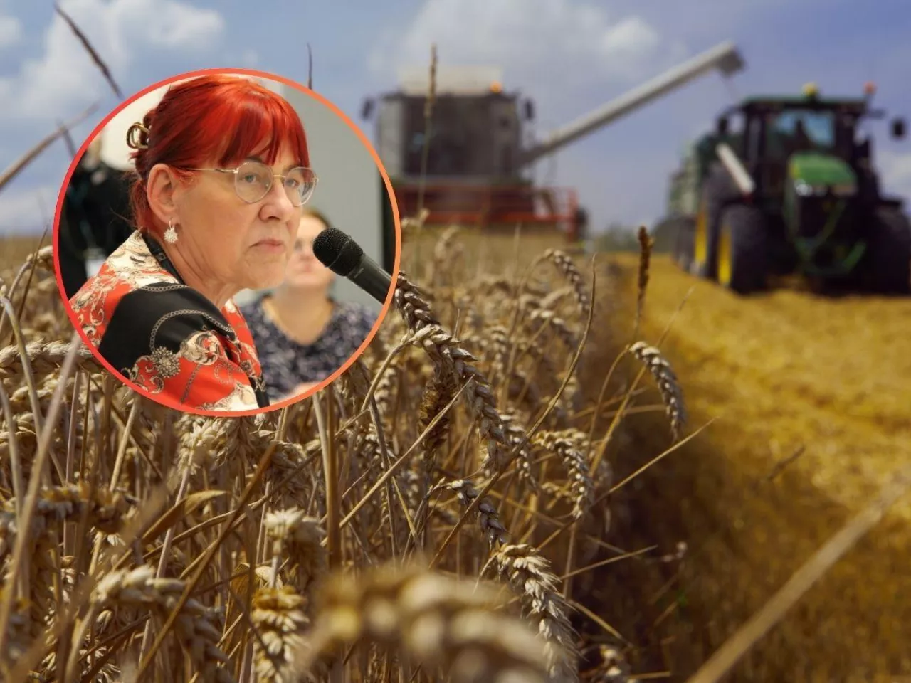 integrowana produkcja roślin