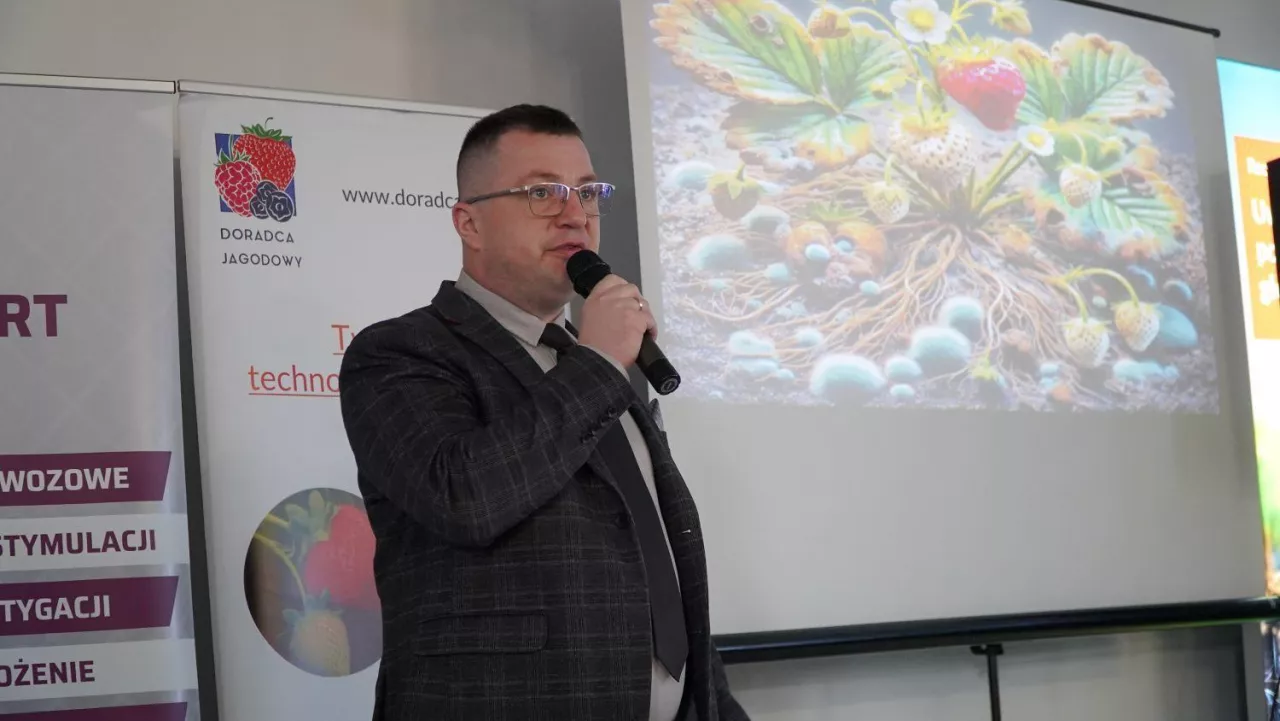 Albert Zwierzyński, Doradca Jagodowy