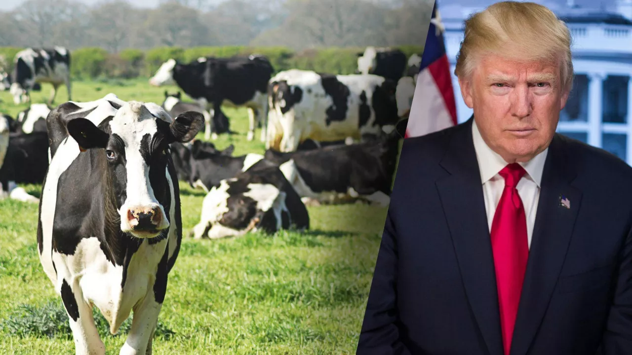 Trump ogłosił cła. Jak uderzy to w polskich rolników?