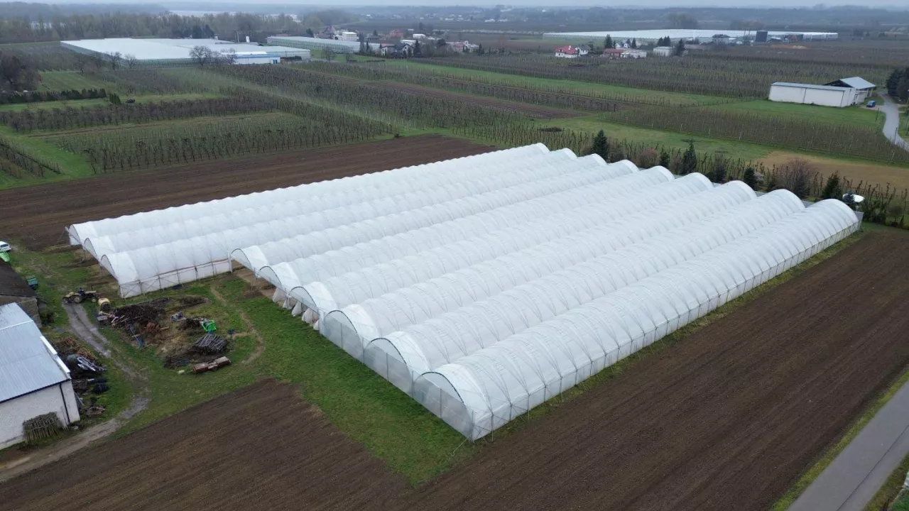 Maliny w tunelu zblokowanym