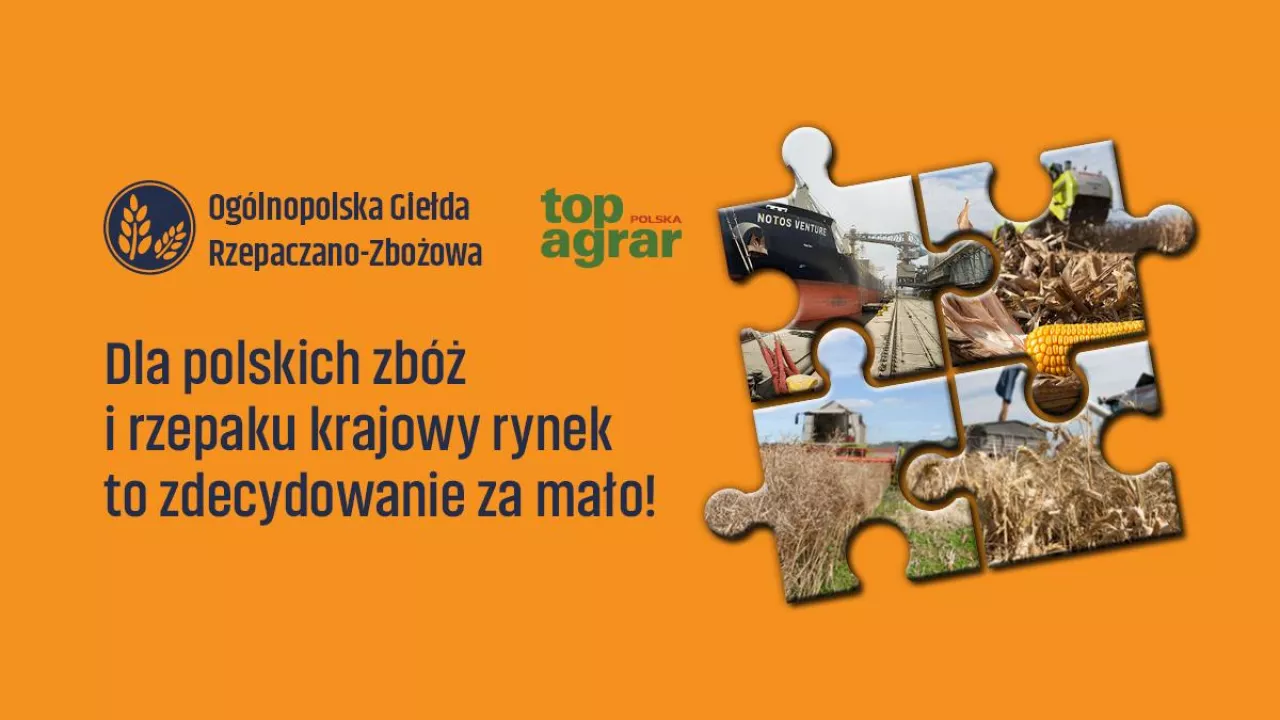 Zdjęcie zaproszenie na Giełdę Rzepaczano-Zbożową