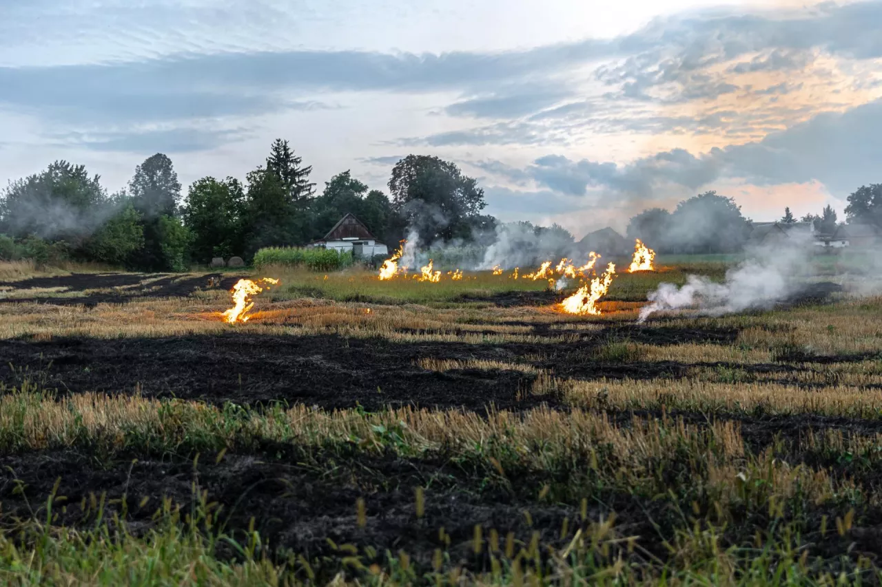 Wypalanie traw grozi surowymi karami