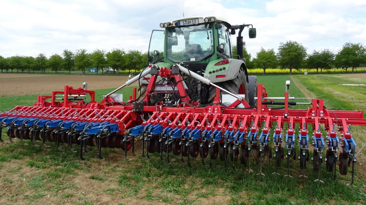 Sterowany kamerą pielnik z redlicami o szerokości 10 cm był używany w pszenicy zasianej w rozstawie rzędów 15 cm.
