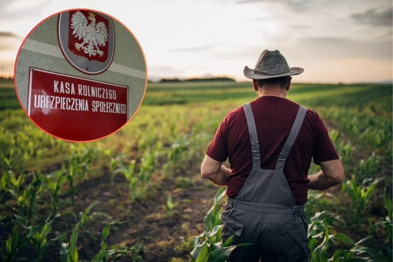 14 emerytura z KRUS dla rolników. Kiedy wypłata w 2025 roku? Jaka kwota?