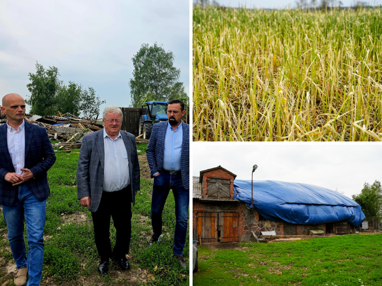 5000 ha upraw zniszczone, rolnicy z Mazowsza zdruzgotani. Minister szykuje plan ratunkowy