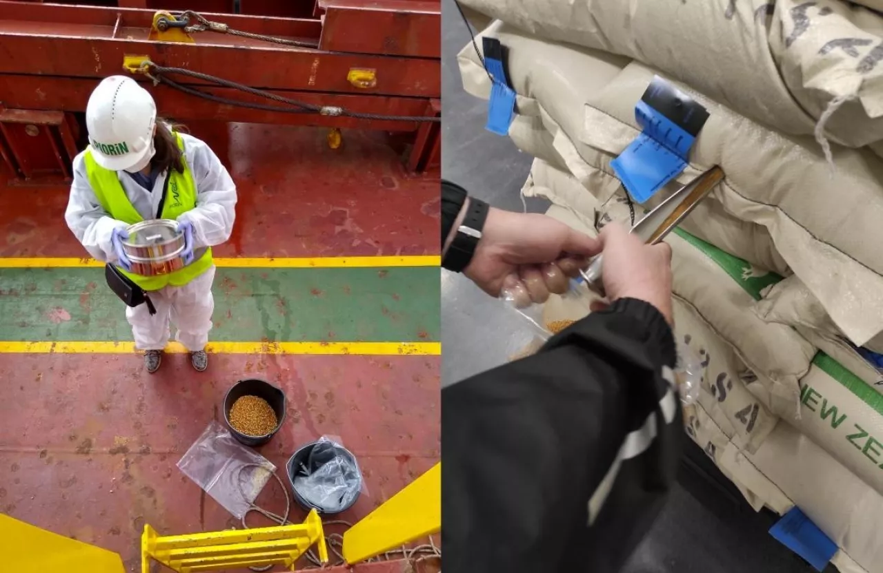 Kontrole nasion PIORiN