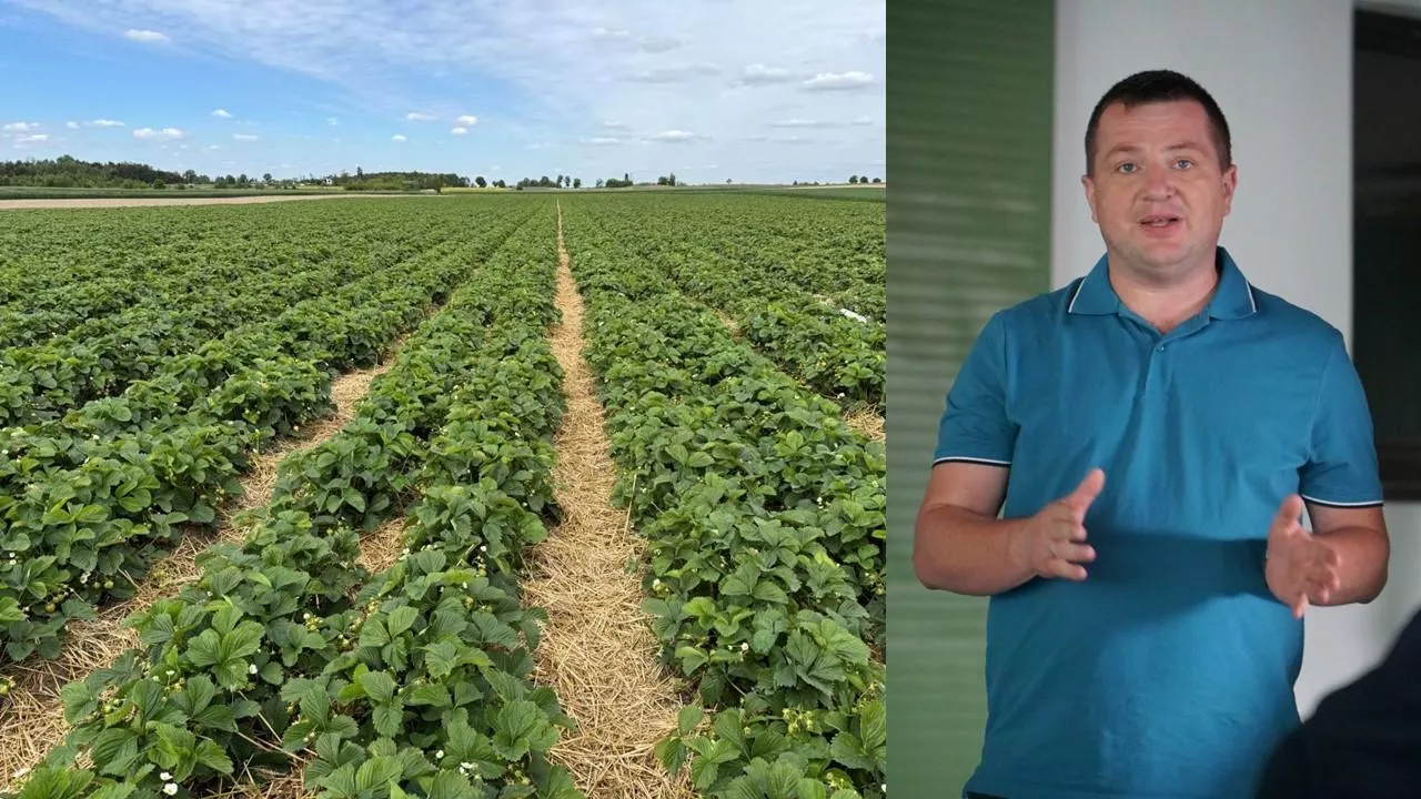 Albert Zwierzyński, firma Calfert, podczas Forum Doradców Sadowniczych
