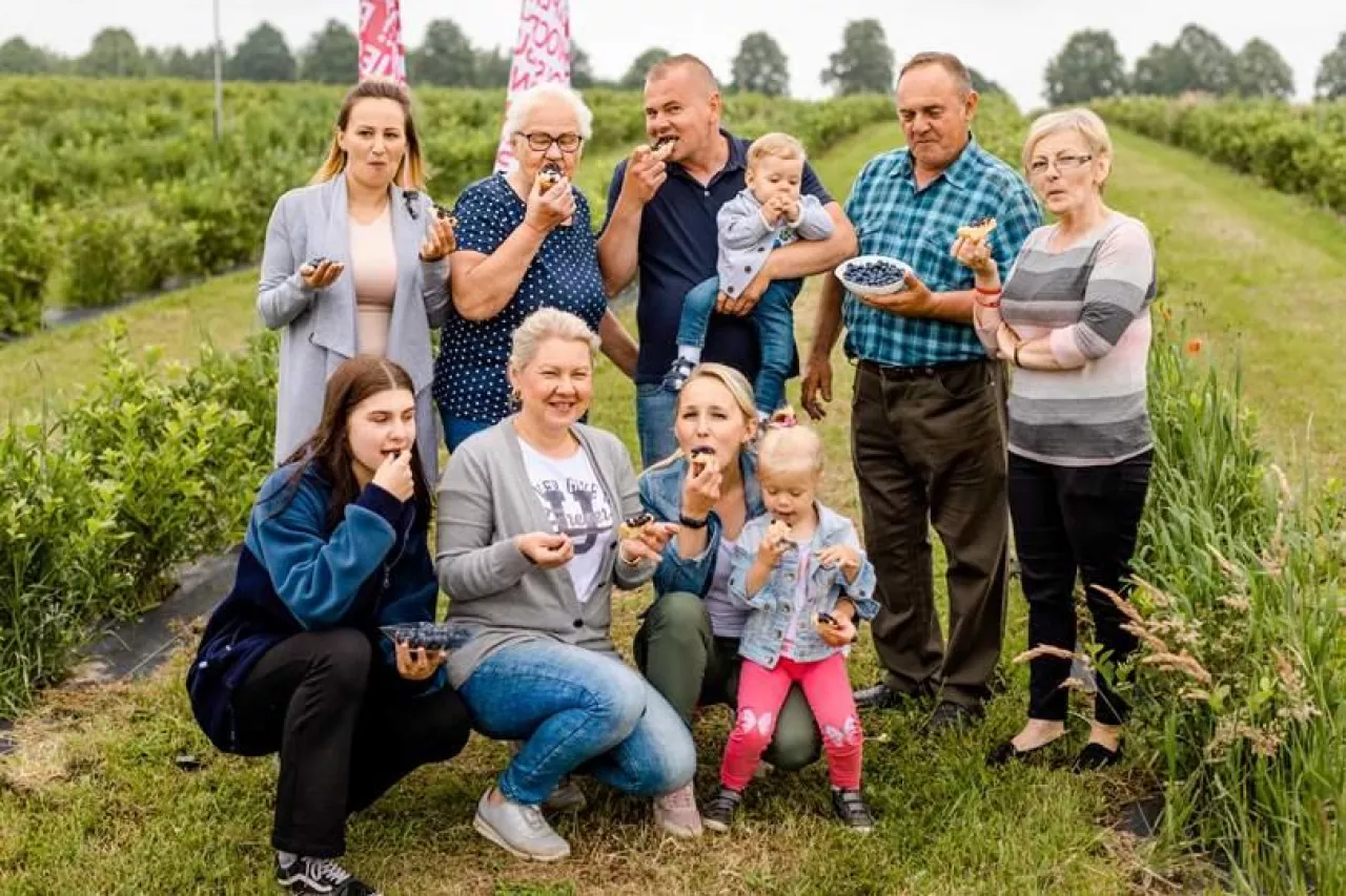 Dzień Polskiej Borówki