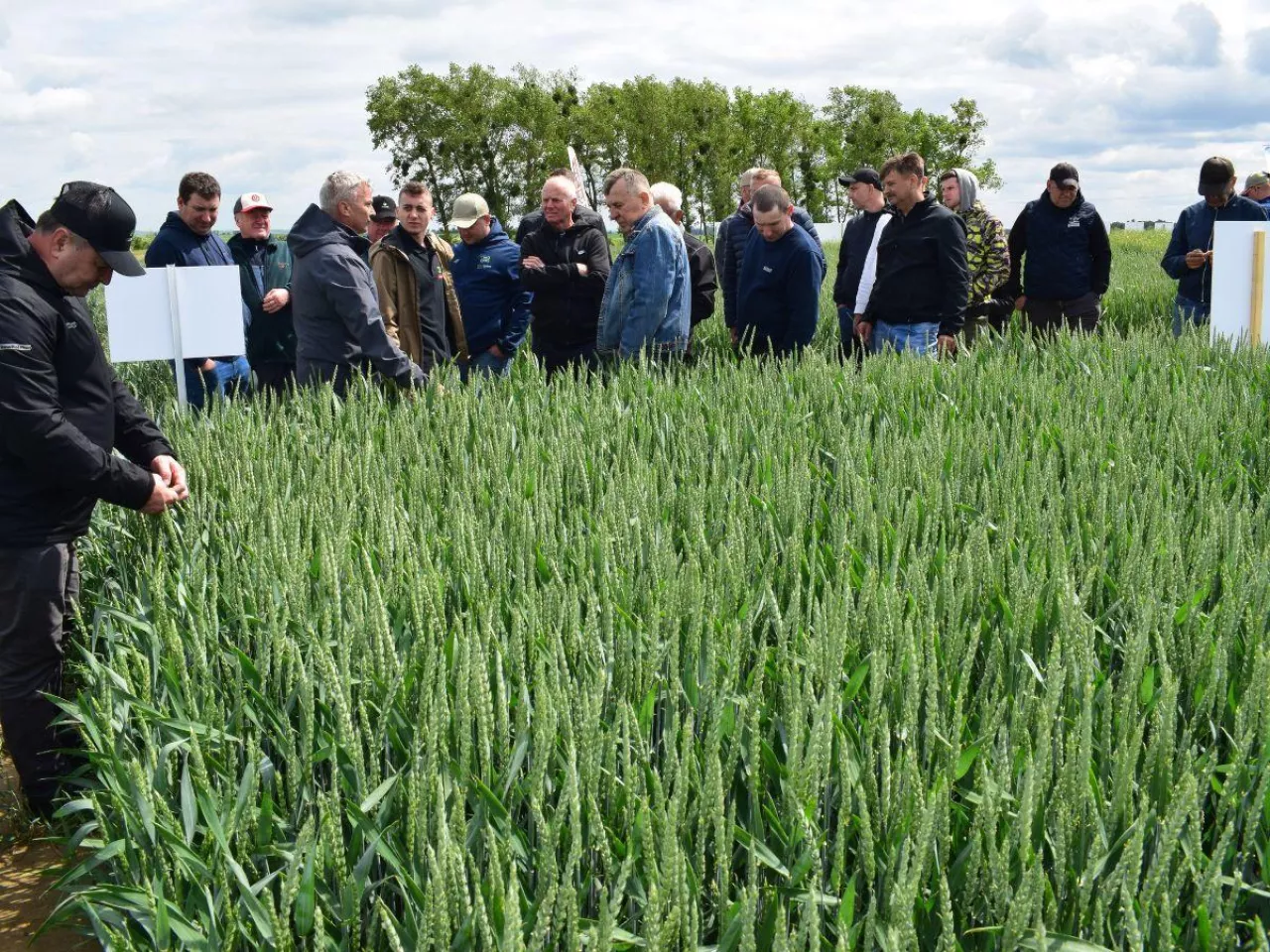 PROCAM Sky System usprawni nawożenie azotem. W jaki sposób?