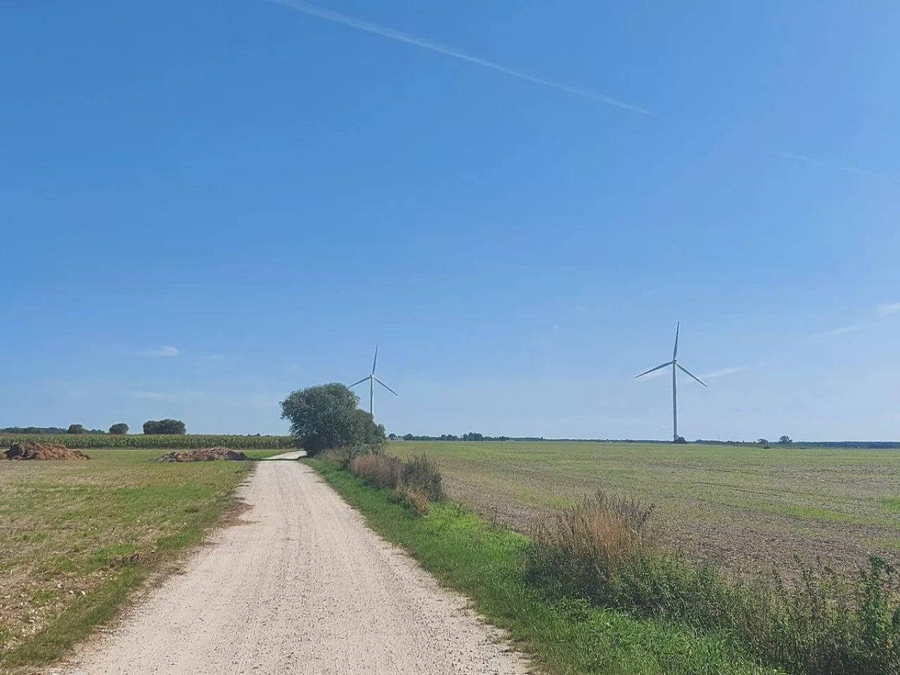 Służebność przechodu i przejazdu - co warto o niej wiedzieć?