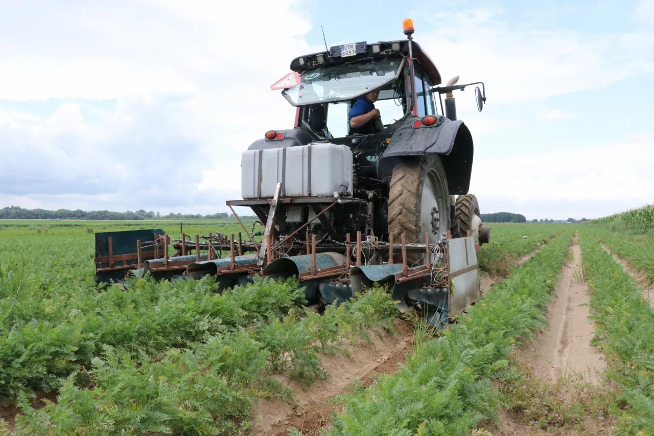 Mazacz herbicydów do upraw rzędowych