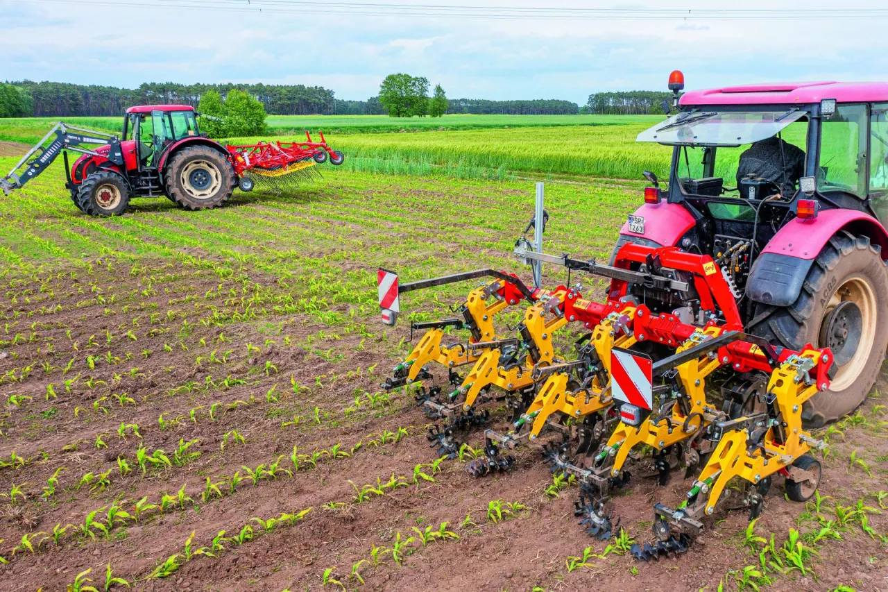 Dwa ciągniki z zaczepionymi pielnikiem międzyrzędowym oraz broną chwastownikiem, które mechanicznie odchwaszczają uprawy na polu