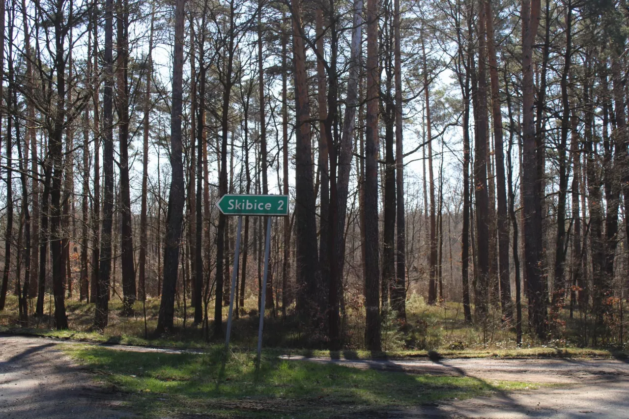 Las rolnika rośnie dalej, niestety chyba dla kolejnych złodziei? 