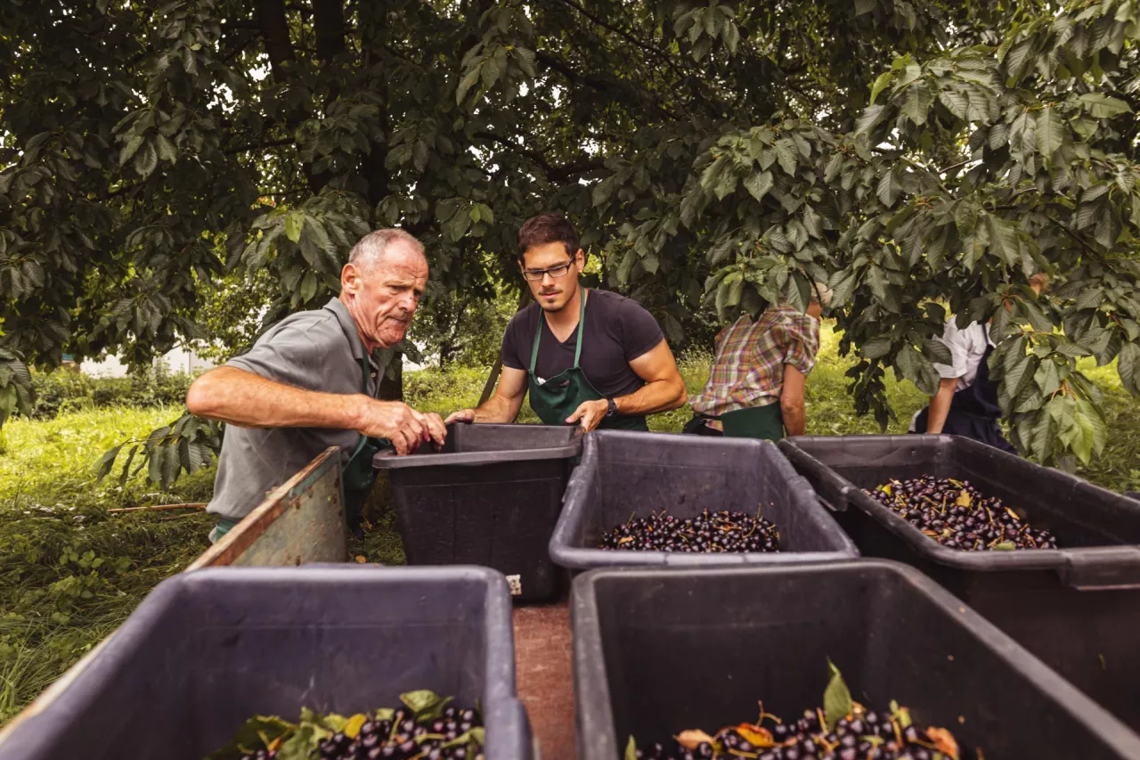 Zatrudnianie cudzoziemców: jest projekt nowego rozporządzenia MRPiPS!