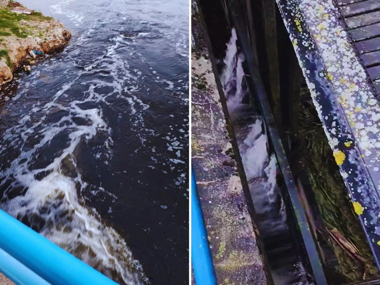 Dlaczego woda zalewa łąki rolników z Podlasia?