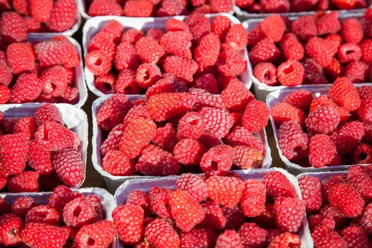 Deserowe maliny w idealnej kondycji