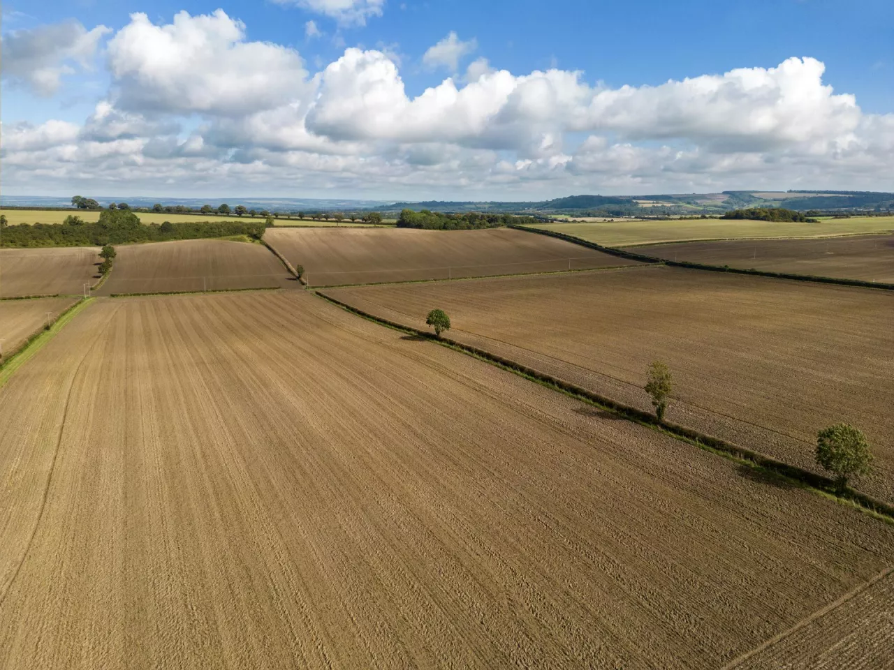 widok na ziemię rolną z loty ptaka