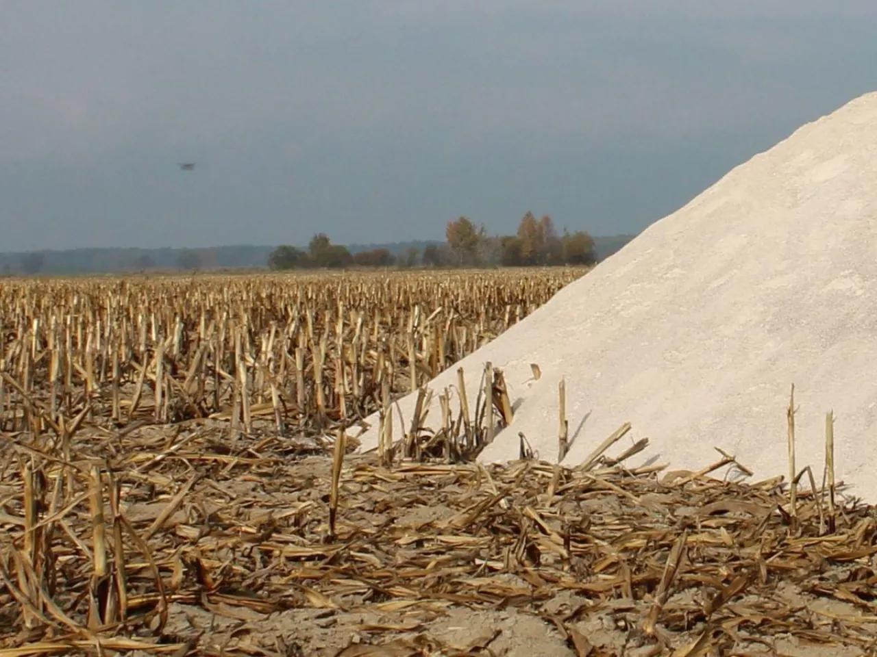 wapno, resztki pożniwne,